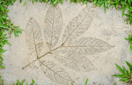 The top view on a cement path for backgroundの写真素材