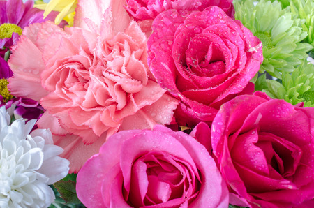 fresh flower background with water dropsの写真素材