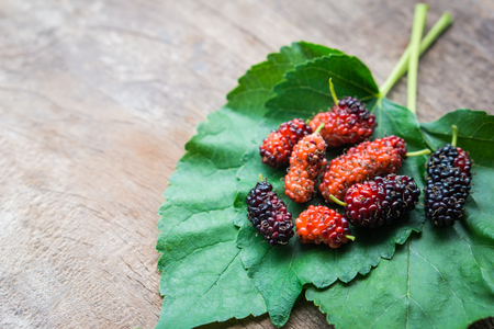 Fresh Mulberry and leaves on wooden table.の写真素材