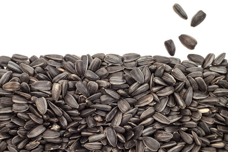 Sunflower seeds on white backgroundの写真素材