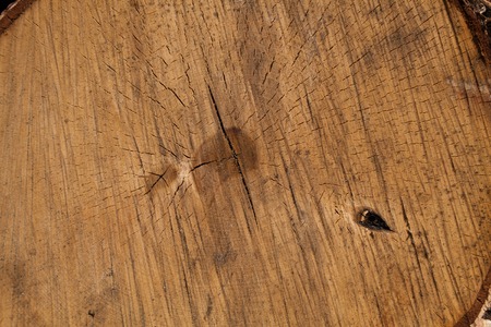 texture saw cut wood. annual rings closeupの写真素材