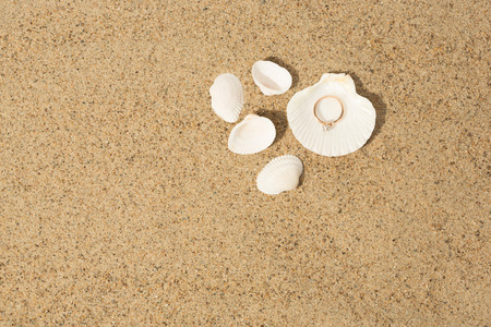 Wedding ring in a shell. Beach still life.の写真素材