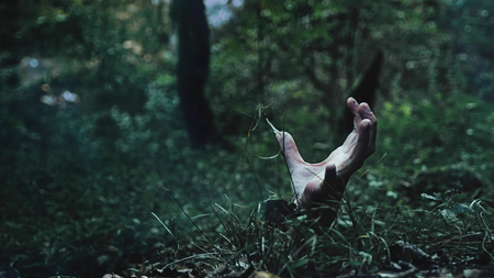 Zombie arm climbs out of the ground