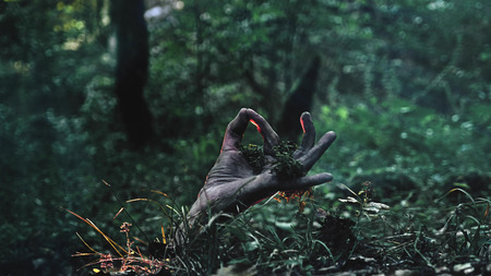 Zombie arm climbs out of the groundの写真素材