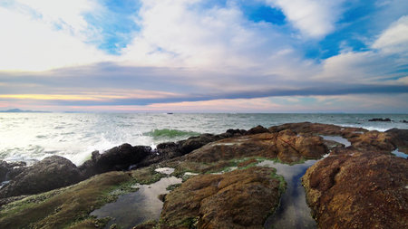 sea ebb, rocky seashore after low tide against a blue sky and clouds. seascape.