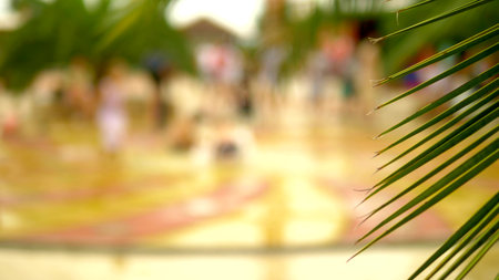 Blurred background happy kids playing in a fountain. palm leaves in focus. bokeh.の写真素材