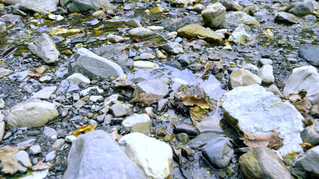 fallen autumn leaves in a mountain stream floating on the water among the stones