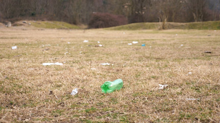 the garbage clearing in the woods. problems of ecology.