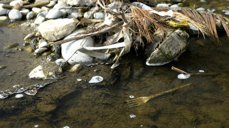 environmental problems. garbage on the waterfront. copy spaceの写真素材