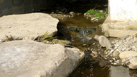 environmental problems. garbage on the waterfront. copy spaceの写真素材