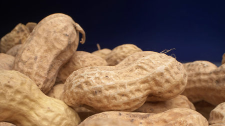 extremely close-up, detailed. peanuts in shells on a dark backgroundの写真素材