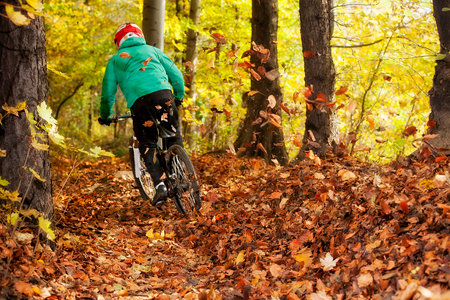 Mountainbiker rides in autumn forestの写真素材