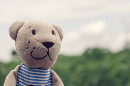 A little smiling bear in filterの写真素材