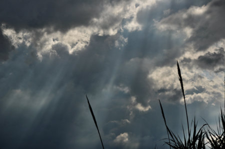 Blue sunbeamsの写真素材