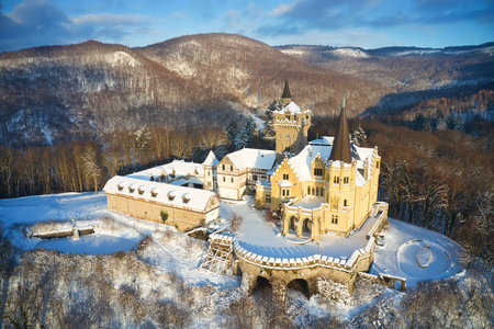 Aerial view of Rothestein Castle near Bad Sooden-Allendorf in winterのeditorial素材