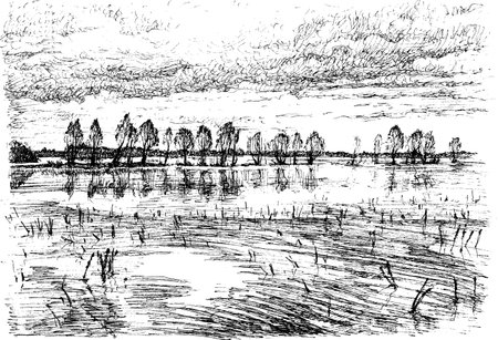 Landscape with the flood - isolated black white vector illustration stylized engravingのイラスト素材