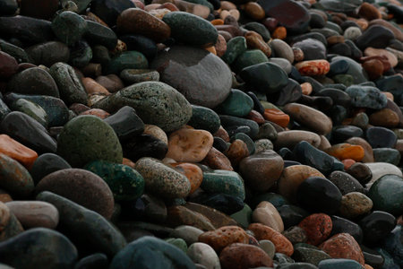 A professional macro photograph of a pebble-covered shore. The image showcases a dense cluster of...