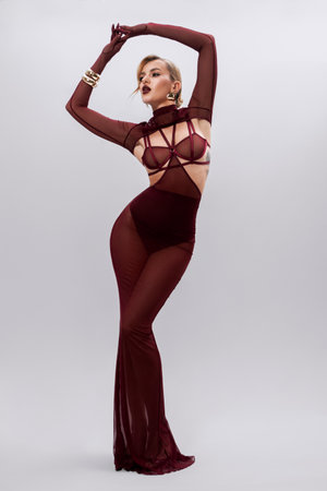 An Elegant Burgundy Evening Gown that Features Beautiful Sheer Detailing and Designの写真素材