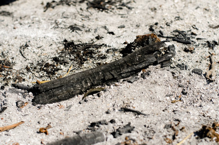 charcoal left after a bonfireの写真素材