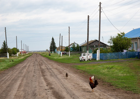 Summer foggy morning in a village in Siberiaの写真素材