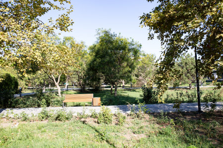 Wooden bench in the park with trees and grass in autumn.の写真素材