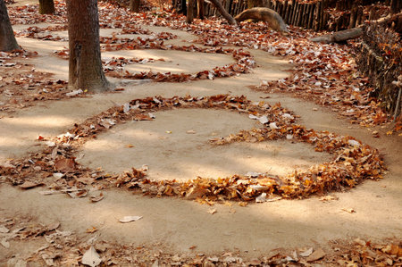Autumn in love, Nami Islandの写真素材