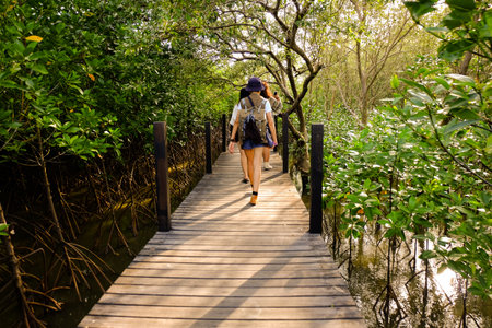Thailand, Ra-yong - June 10, 2017 : Asian women backpacking in mangrovesのeditorial素材
