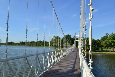 bridge in park thailand