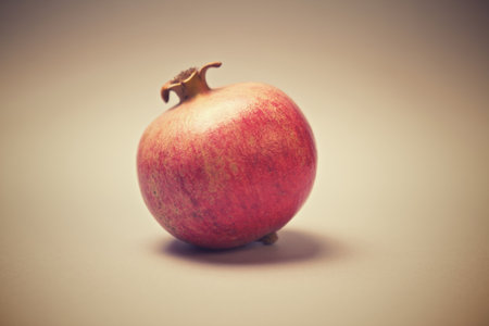 Pomegranate on neutral backgroundの写真素材
