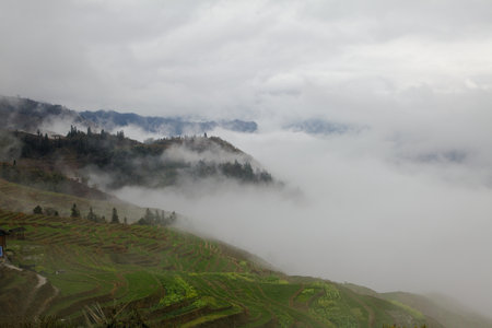 Fog in Longji Southern Chinaの写真素材