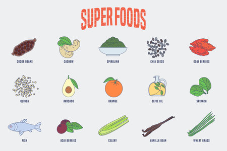 Set of superfoods products, berries, green in vector. Icons, design elements of cocoa beans, goji berry, acai seeds, spirulina, quinoa for super food wellness conceptのイラスト素材