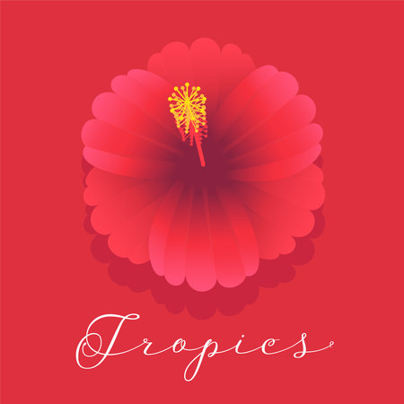 Exotic red flower with sign tropics vector illustration. Banner for traveling to tropical countries with beautiful flower.のイラスト素材