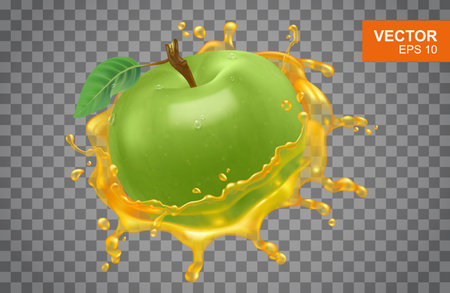 Realistic green apple with spray of apple juice vector illustration on isolated background. Hyperrealistic shiny fruitのイラスト素材