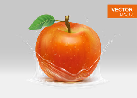 Whole red apple with spray of water realistic 3D design element, mockup. Clipart of whole fruit with leaf and stem illustrationのイラスト素材
