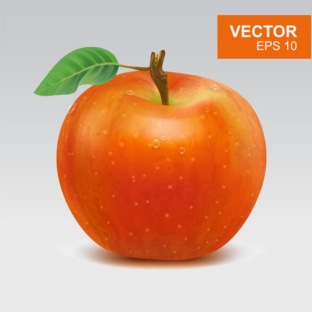 Realistic red apples vector illustration, icon. 3d whole apple with leaf and water drops on white backgroundのイラスト素材