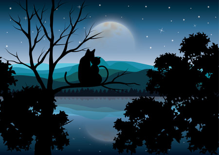 Vector illustrations,Cat couples watching the beautiful moon.のイラスト素材