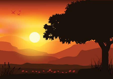 Beautiful nature at sunset, Vector illustrationsのイラスト素材