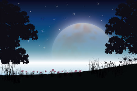 Beautiful nature at night, Vector illustrationsのイラスト素材