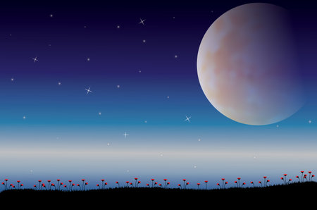 The Beauty of the Moon in Nature , Vector illustrations landscapeのイラスト素材