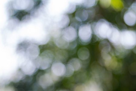 defocused bokeh abtract lightsの写真素材