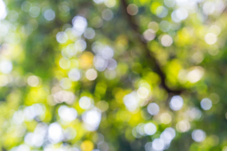 defocused bokeh abtract lightsの写真素材