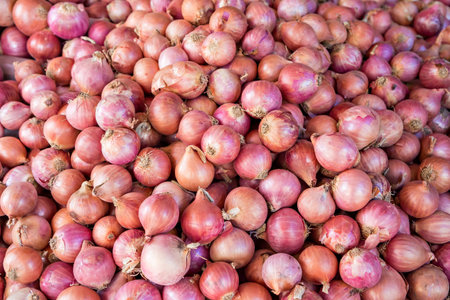 Red or purple onions