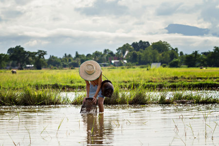 Thai young agriculturist catch fish with a coopの写真素材