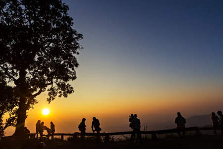 Peoples and trees silhouetted with stunning sunsetの写真素材