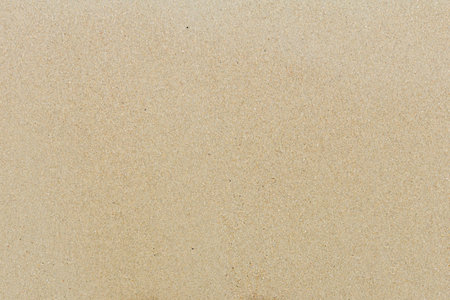 Brown fine sand texture and background