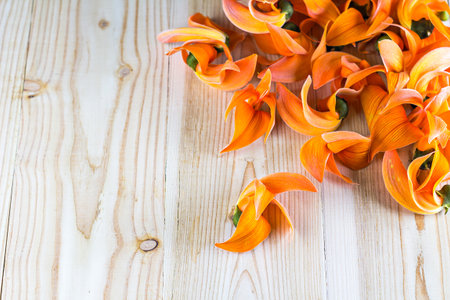 Pile of Bastard Teak or Bengal Kino's flowers on wood