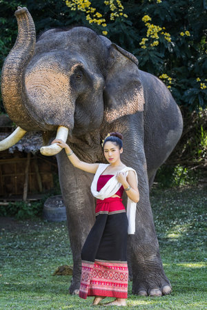 Pretty asian girl in traditional thai dress touching elephant's ivoryの写真素材