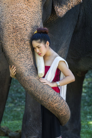 Pretty girl in traditional thai costumes touching elephant's trunkの写真素材