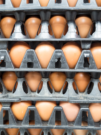 Eggs in the panel package at the market