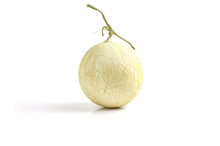 close-up view of fresh melon isolated on white background.の写真素材